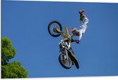 WallClassics - Dibond - Freestyle Motocross boven Boom - 105x70 cm Foto op Aluminium (Wanddecoratie van metaal)