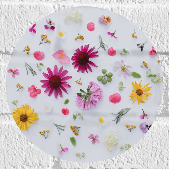 Muursticker Cirkel - Verschillende Soorten en Kleuren Bloemen op Witte Achtergrond - 20x20 cm Foto op Muursticker