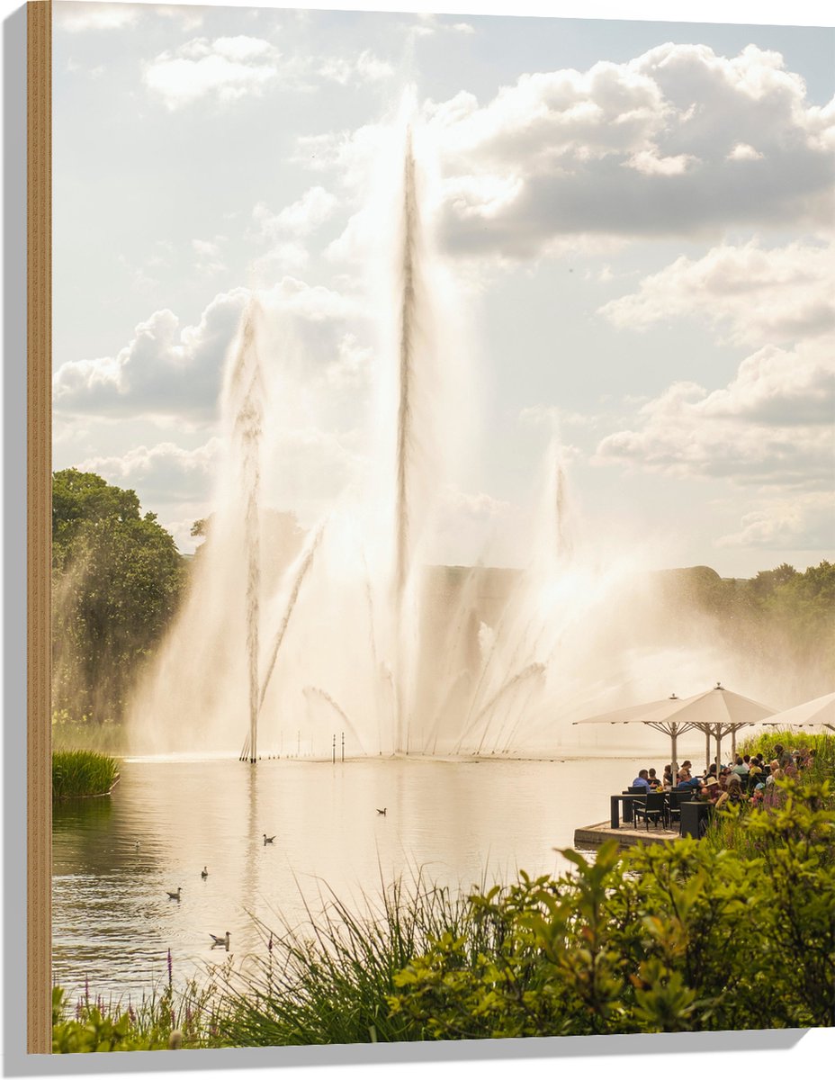 Hout - Waterfontein in een Meer - 60x80 cm - 9 mm dik - Foto op Hout (Met Ophangsysteem)