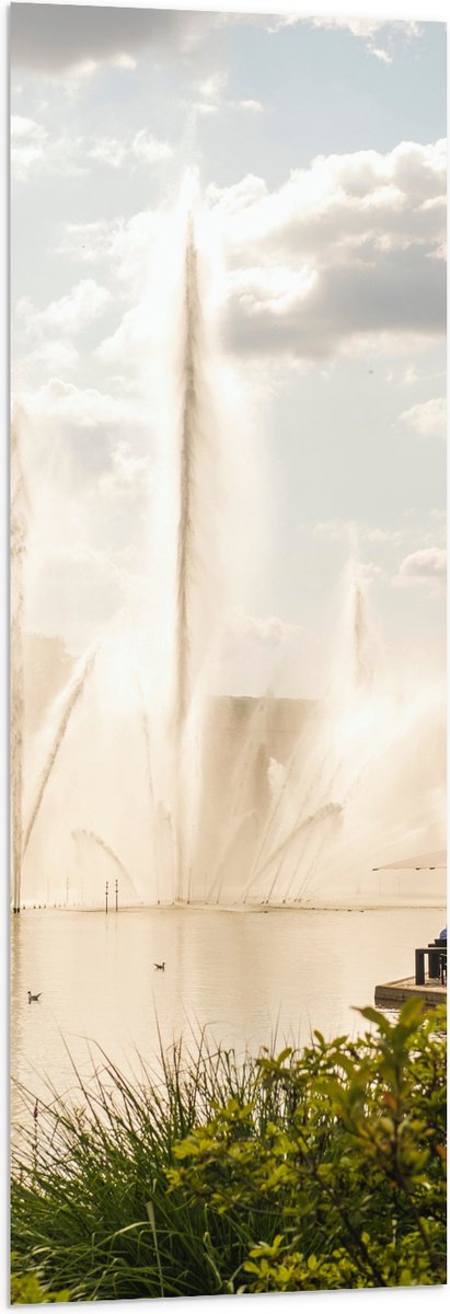 Vlag - Waterfontein in een Meer - 40x120 cm Foto op Polyester Vlag