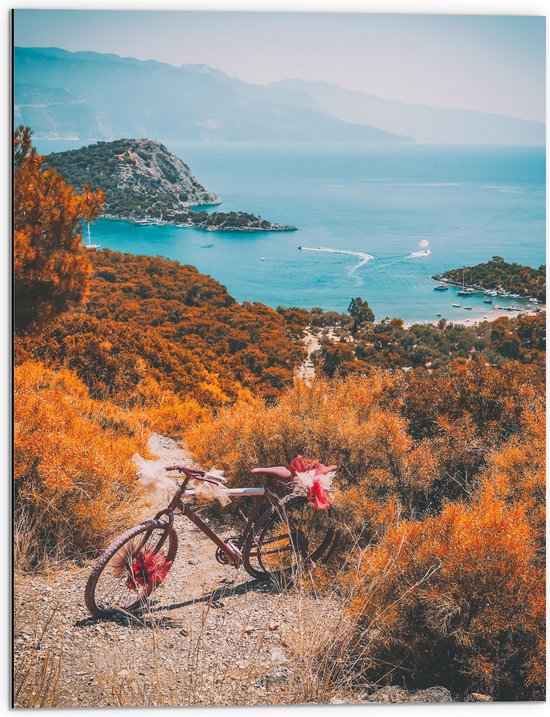 Dibond - Fiets Geparkeerd op Bergpad dor Begroeiing naar de Zee - 60x80 cm Foto op Aluminium (Wanddecoratie van metaal)