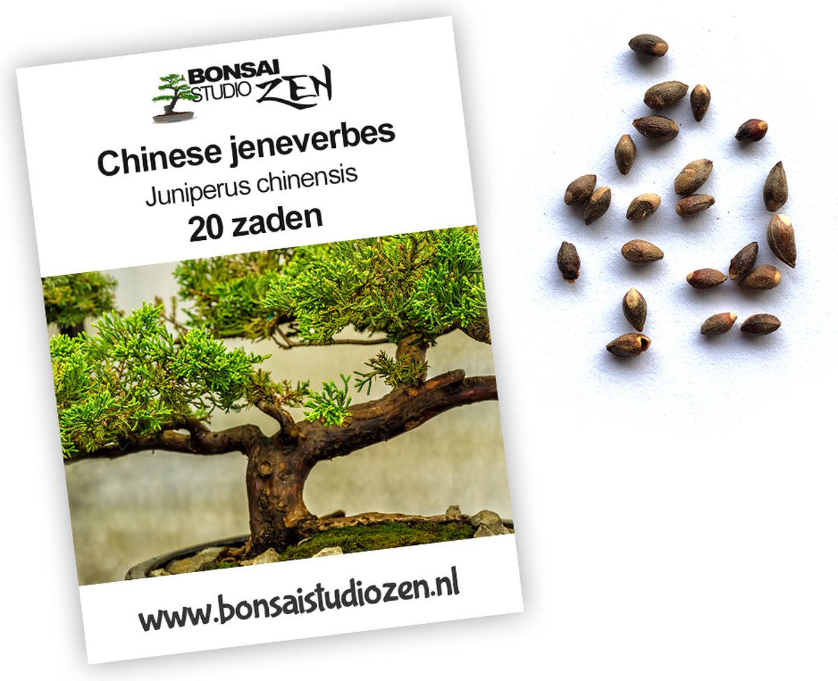 Chinese jeneverbes | Juniperus chinensis | 20 zaden