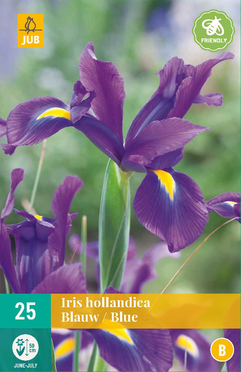 Iris hollandica blauw - 25st - Bloembollen - JUB Holland