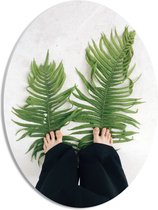 PVC Schuimplaat Ovaal - Voeten op Groene Varen Planten - 30x40 cm Foto op Ovaal (Met Ophangsysteem)