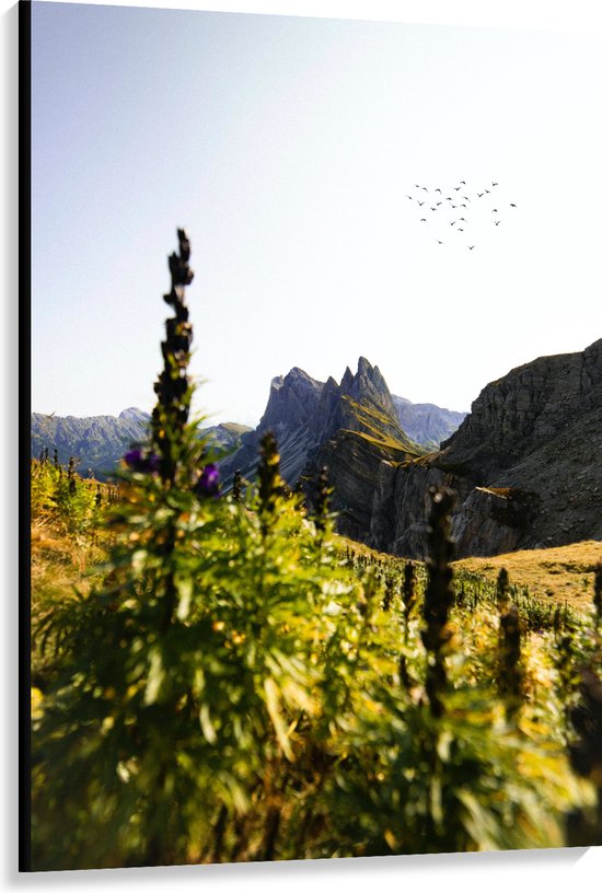 WallClassics - Toile - Fleurs et Vogels près des Montagnes - 100x150 cm Photo sur toile (Décoration murale sur toile)