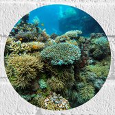 WallClassics - Muursticker Cercle - Berg Corail Sous Water - 20x20 cm Photo sur Muursticker