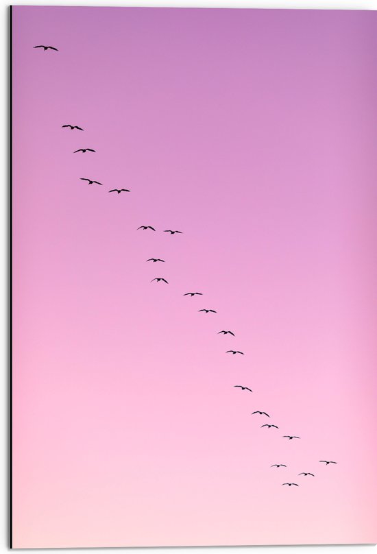 WallClassics - Dibond - Grote Groep Vogels door roze Lucht - 50x75 cm Foto op Aluminium (Met Ophangsysteem)