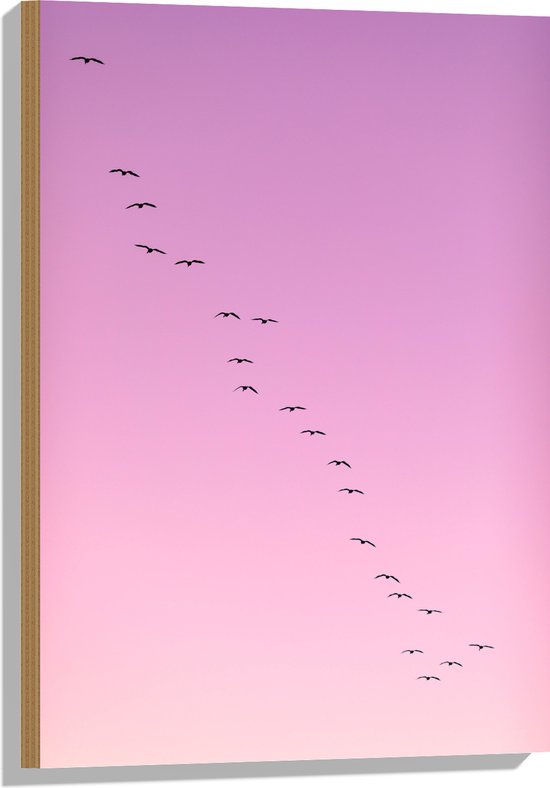 WallClassics - Hout - Grote Groep Vogels door roze Lucht - 50x75 cm - 9 mm dik - Foto op Hout (Met Ophangsysteem)