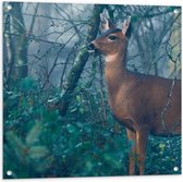 WallClassics - Tuinposter – Hert in de Bossen - 80x80 cm Foto op Tuinposter  (wanddecoratie voor buiten en binnen)