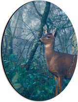 WallClassics - Dibond Ovaal - Hert in de Bossen - 21x28 cm Foto op Ovaal (Met Ophangsysteem)