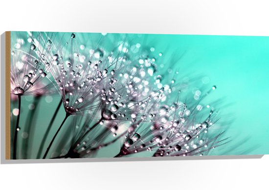 WallClassics - Hout - Close up van Waterdruppels op Paardenbloem - 100x50 cm - 12 mm dik - Foto op Hout (Met Ophangsysteem)