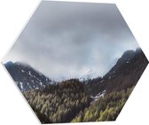 WallClassics - PVC Schuimplaat Hexagon  - Wolken bij Bergen en Bos - 60x52.2 cm Foto op Hexagon (Met Ophangsysteem)