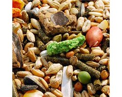 Garvo Knaagdiermix (5540) 2 KG