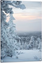 Tuinposter – Besneeuwde Bomen op Berg - 70x105 cm Foto op Tuinposter (wanddecoratie voor buiten en binnen)