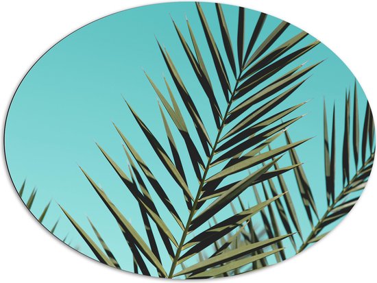 Dibond Ovaal - Bladeren van Tropische Plant - 108x81 cm Foto op Ovaal (Met Ophangsysteem)