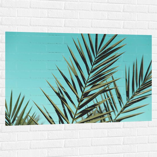 Muursticker - Bladeren van Tropische Plant - 120x80 cm Foto op Muursticker