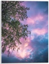 PVC Schuimplaat - Boom met Paars Blauwe Lucht - 30x40 cm Foto op PVC Schuimplaat (Met Ophangsysteem)