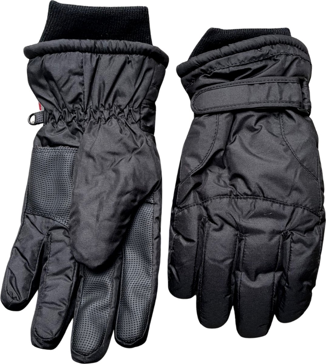 Ski handschoenen heren Wintersport handschoenen Thinsulate gevoerd winddicht Zwart