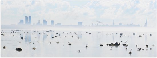 WallClassics - Poster Glanzend – Mist bij Skyline achter Meer met Vogels - 60x20 cm Foto op Posterpapier met Glanzende Afwerking