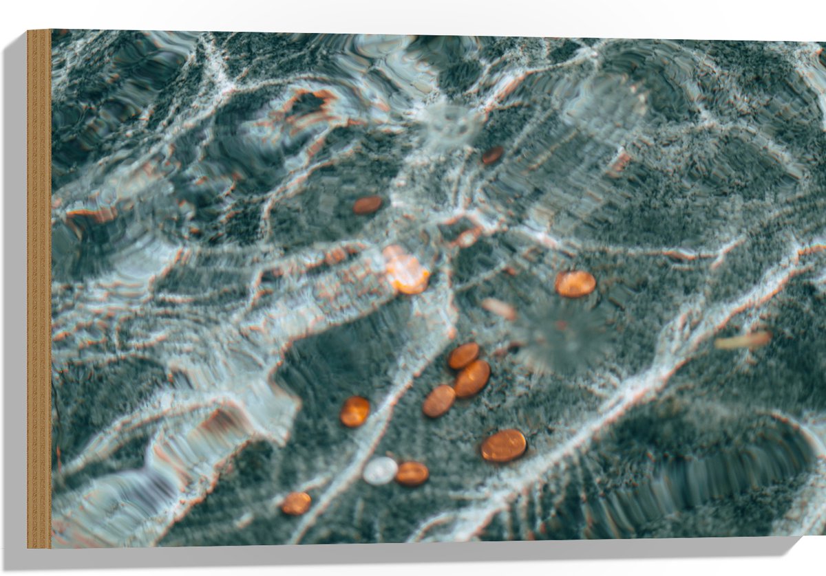 Hout - Kleingeld op Bodem van Fontein - 60x40 cm - 9 mm dik - Foto op Hout (Met Ophangsyst