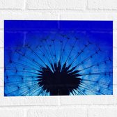Muursticker - Close-up van Paardenbloem in Blauw Licht - 40x30 cm Foto op Muursticker