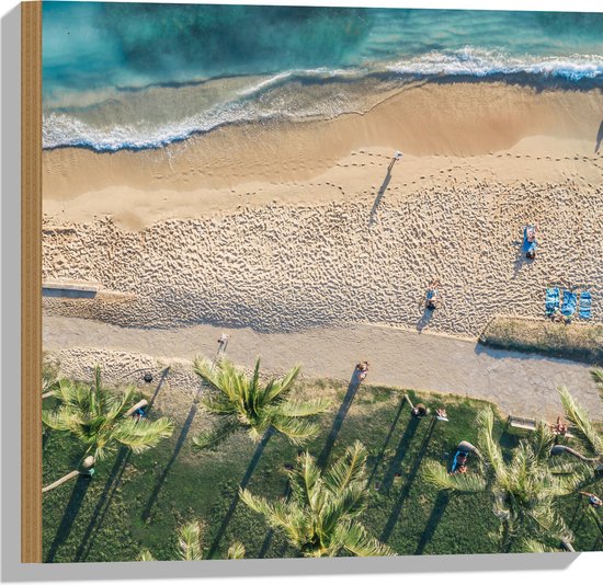 Hout - Bovenaanzicht van Palmbomen op Grasveld aan het Strand bij Tropische Zee - 50x50 cm - 9 mm dik - Foto op Hout (Met Ophangsysteem)