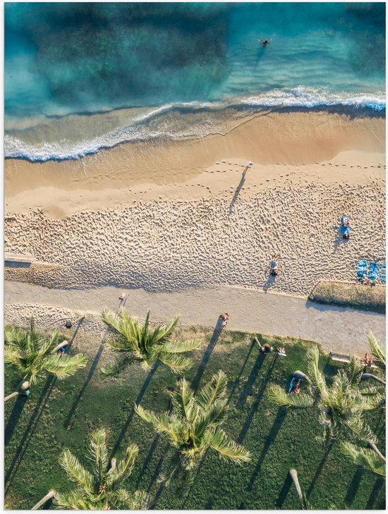 Poster (Mat) - Bovenaanzicht van Palmbomen op Grasveld aan het Strand bij Tropische Zee - 30x40 cm Foto op Posterpapier met een Matte look