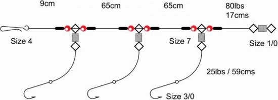 Tronixpro 3Hook-2up 1 down clear zeevis zee onderlijn maat 6