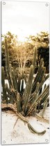Tuinposter – Groep Cactussen bij Bosrand in de Duinen - 40x120 cm Foto op Tuinposter (wanddecoratie voor buiten en binnen)