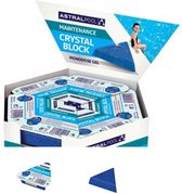 Astral Pool Crystal Block Gel Disk 6 stuks = 1 disk, Zorgt voor kristalhelder zwembad water