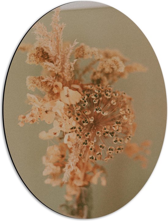 Dibond Ovaal - Droge Oranje Bloemen in Vaas tegen Beige Muur - 42x56 cm Foto op Ovaal (Met Ophangsysteem)