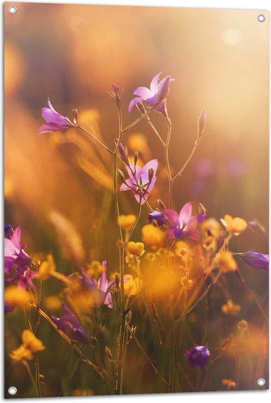 Tuinposter – Paarse en Gele Bloemetjes in het Landschap - 70x105 cm Foto op Tuinposter (wanddecoratie voor buiten en binnen)