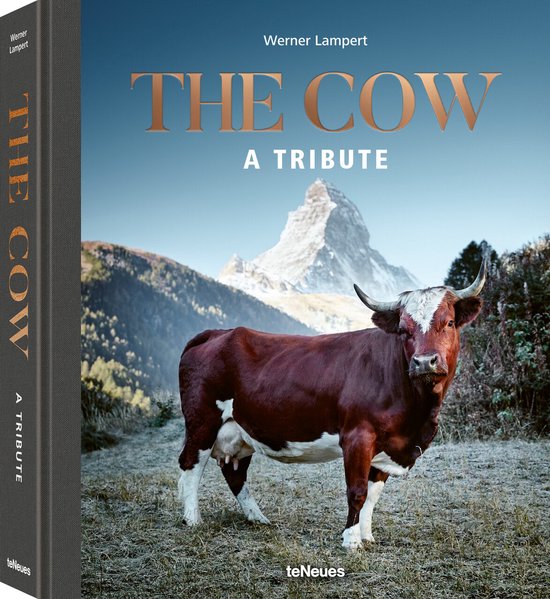 The Cow - Werner Lampert