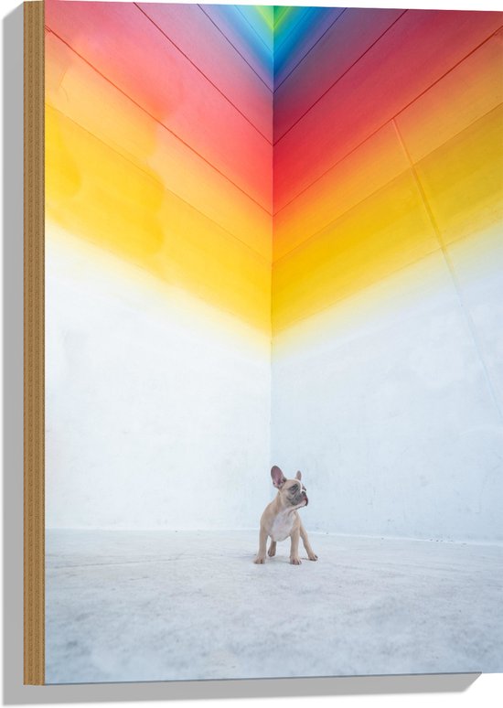 WallClassics - Hout - Puppy onder Regenboog Street Art - 40x60 cm - 9 mm dik - Foto op Hout (Met Ophangsysteem)