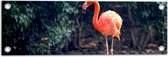 Tuinposter – Staande Roze Flamingo - 60x20 cm Foto op Tuinposter (wanddecoratie voor buiten en binnen)