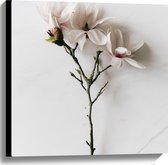 Canvas - Wit met Roze Bloemen op Witte Ondergrond - 60x60 cm Foto op Canvas Schilderij (Wanddecoratie op Canvas)