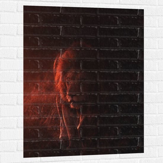 WallClassics - Muursticker - Sluipende Leeuw in Oranjekleurige Lucht - 75x100 cm Foto op Muursticker