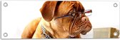 WallClassics - Tuinposter – Opzijkijkende Bruine Hond met Ketting en Leesbril - 60x20 cm Foto op Tuinposter (wanddecoratie voor buiten en binnen)