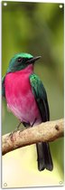 WallClassics - Tuinposter – Roze met Groene Vogel op een Tak - 40x120 cm Foto op Tuinposter (wanddecoratie voor buiten en binnen)