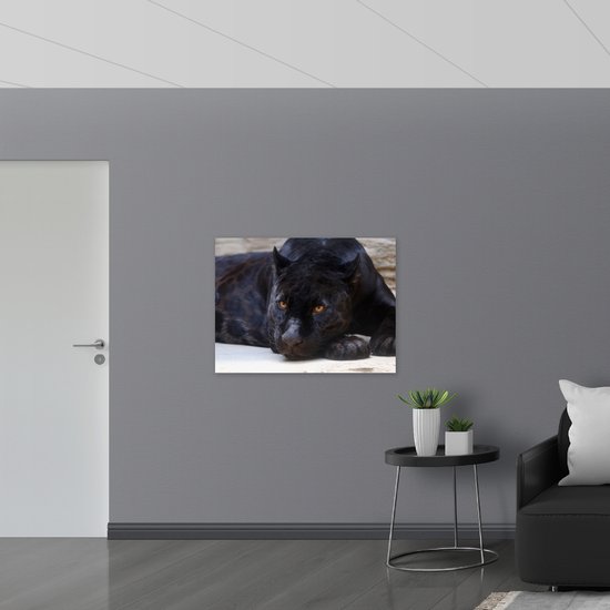 WallClassics - Panneau en mousse PVC – Panthère noire couchée aux yeux Oranje – Photo 100 x 75 cm sur panneau en mousse PVC