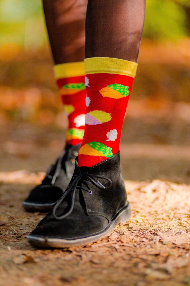 Eikel sok | Herfst sokken | Multi-color | Herensokken en damessokken | Leuke, grappig sokken | Funny socks that make you happy | Sock & Sock