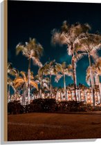 Hout - Verlichte Palmbomen in Nacht - 50x75 cm - 9 mm dik - Foto op Hout (Met Ophangsysteem)