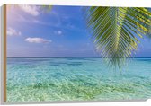 Hout - Palmbladen hangend voor een Heldere Oceaan - 90x60 cm - 9 mm dik - Foto op Hout (Met Ophangsysteem)