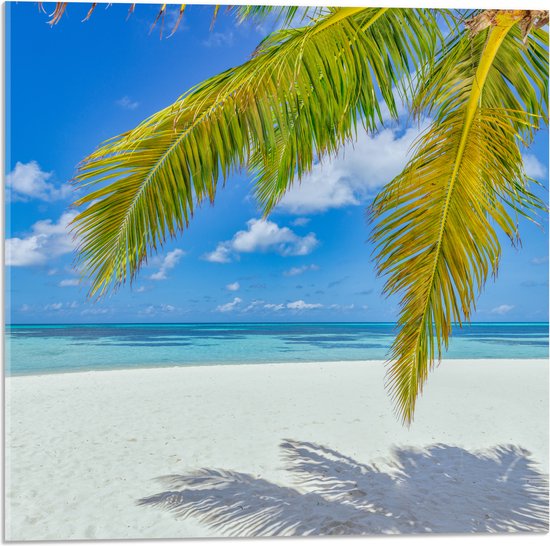 Acrylglas - Palmbladeren Hangend voor Tropisch Eiland met Breed Strand - 50x50 cm Foto op Acrylglas (Met Ophangsysteem)