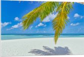 Acrylglas - Palmbladeren Hangend voor Tropisch Eiland met Breed Strand - 105x70 cm Foto op Acrylglas (Met Ophangsysteem)