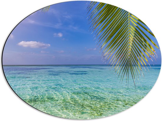 Dibond Ovaal - Palmbladen hangend voor een Heldere Oceaan - 56x42 cm Foto op Ovaal (Met Ophangsysteem)