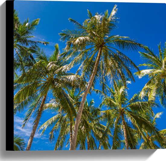 Canvas - Palmbomen met een Helder Blauwe Lucht - 40x40 cm Foto op Canvas Schilderij (Wanddecoratie op Canvas)