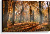 Canvas - Bos in de Herfst met Zonnestralen door de Bomen - 90x60 cm Foto op Canvas Schilderij (Wanddecoratie op Canvas)