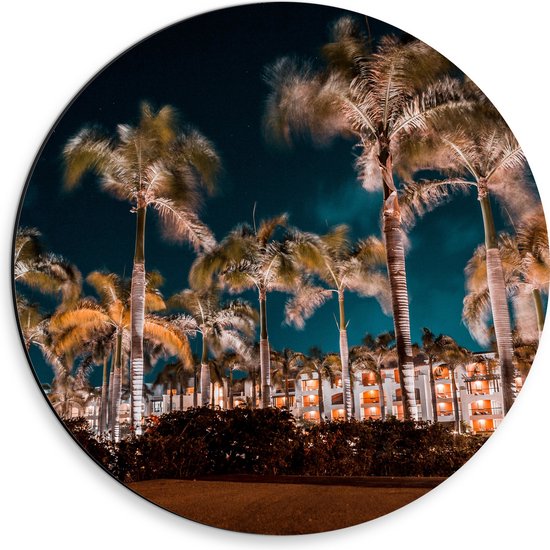 Dibond Muurcirkel - Verlichte Palmbomen in Nacht - 30x30 cm Foto op Aluminium Muurcirkel (met ophangsysteem)