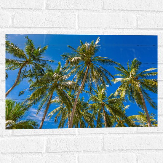 Muursticker - Palmbomen met een Helder Blauwe Lucht - 60x40 cm Foto op Muursticker